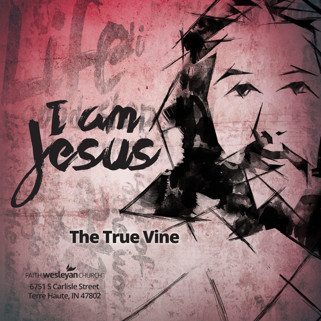 I Am Jesus The True Vine